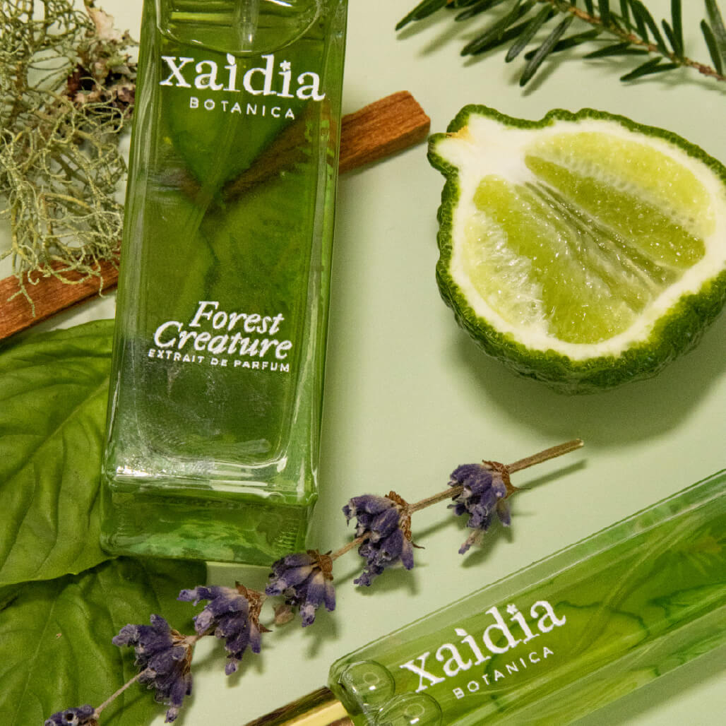 photo of perfume bottles and botanical elements